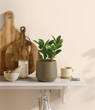 Load image into Gallery viewer, Olive