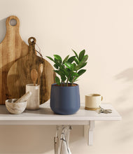 Load image into Gallery viewer, Deep Navy