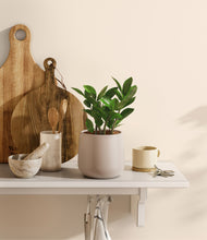 Load image into Gallery viewer, Eternal Gray