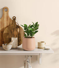 Load image into Gallery viewer, Gentle Pink