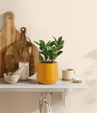 Load image into Gallery viewer, Mustard