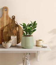 Load image into Gallery viewer, Turquoise