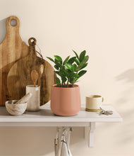 Load image into Gallery viewer, Calm Rose