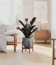 Load image into Gallery viewer, Sage Green stand:dark
