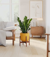 Load image into Gallery viewer, Sunset Orange stand:walnut