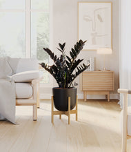 Load image into Gallery viewer, Stone Black stand:light