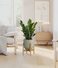Load image into Gallery viewer, Sage Green stand:bamboo