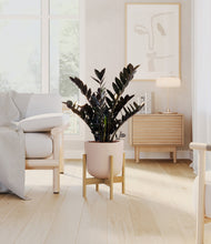 Load image into Gallery viewer, Sandy Pink stand:light