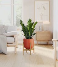 Load image into Gallery viewer, Earth Red stand:bamboo