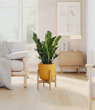 Load image into Gallery viewer, Sunset Orange stand:bamboo