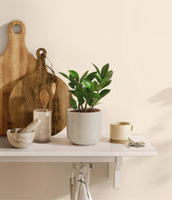 Load image into Gallery viewer, Cotton White