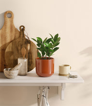 Load image into Gallery viewer, Glossy Red