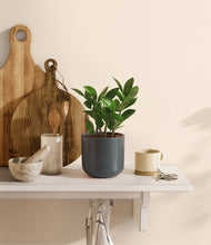 Load image into Gallery viewer, Iron Gray