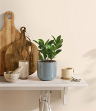 Load image into Gallery viewer, Misty Blue