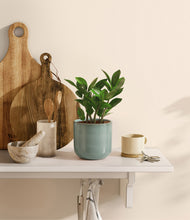 Load image into Gallery viewer, Reactive Aqua