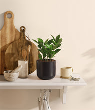 Load image into Gallery viewer, Stone Black