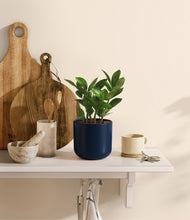 Load image into Gallery viewer, Twilight Blue