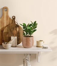 Load image into Gallery viewer, Hammered Peach Pink