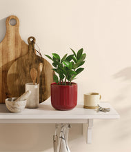 Load image into Gallery viewer, Striped Cherry Red