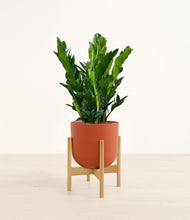 Load image into Gallery viewer, Earth Red stand:bamboo