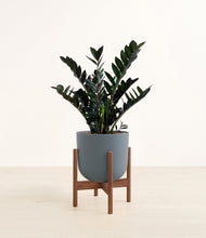 Load image into Gallery viewer, Iron Gray stand:dark