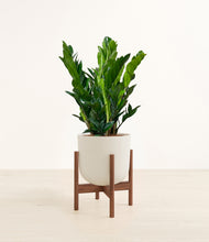 Load image into Gallery viewer, Natural Bamboo stand:walnut