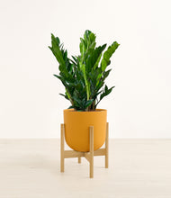Load image into Gallery viewer, Sunset Orange stand:bamboo