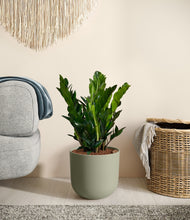 Load image into Gallery viewer, Sage Green