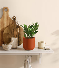 Load image into Gallery viewer, Earth Red