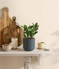 Load image into Gallery viewer, Iron Gray