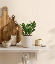 Load image into Gallery viewer, Natural Bamboo