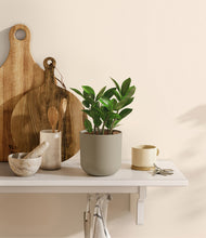 Load image into Gallery viewer, Sage Green