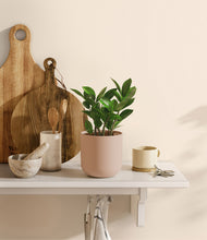 Load image into Gallery viewer, Sandy Pink