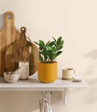 Load image into Gallery viewer, Sunset Orange