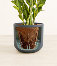 Load image into Gallery viewer, Iron Gray stand:all