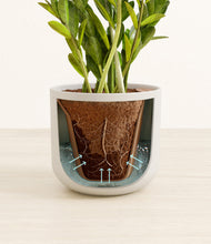 Load image into Gallery viewer, Natural Bamboo stand:all