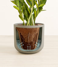 Load image into Gallery viewer, Sage Green stand:all