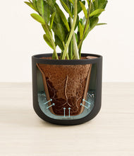 Load image into Gallery viewer, Stone Black