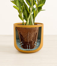 Load image into Gallery viewer, Sunset Orange stand:all