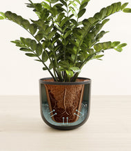 Load image into Gallery viewer, Stone Black stand:all