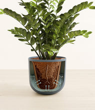 Load image into Gallery viewer, Iron Gray stand:all