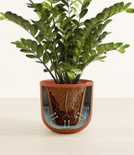 Load image into Gallery viewer, Earth Red stand:all