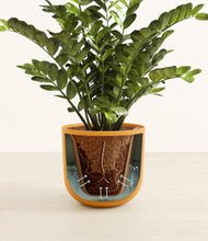 Load image into Gallery viewer, Sunset Orange stand:all