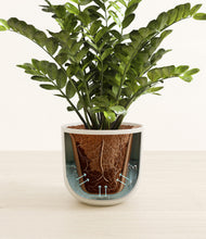 Load image into Gallery viewer, Natural Bamboo stand:all