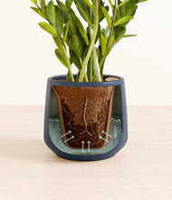 Load image into Gallery viewer, Deep Navy stand:all