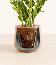 Load image into Gallery viewer, Calm Rose stand:all