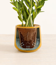 Load image into Gallery viewer, Mustard stand:all