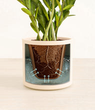 Load image into Gallery viewer, Cream stand:all