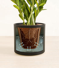 Load image into Gallery viewer, Black stand:all