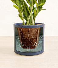 Load image into Gallery viewer, Deep Navy stand:all